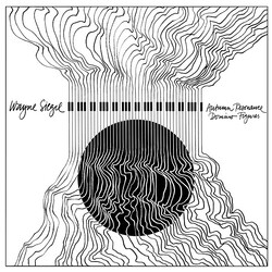 Wayne Siegel Autumn Resonance / Domino Figures Vinyl LP USED