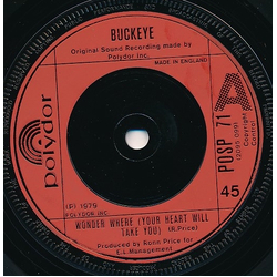 Buckeye (3) Wonder Where (Your Heart Will Take You) Vinyl 7" USED