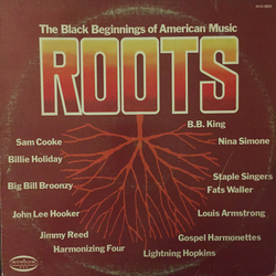 Various Roots - The Black Beginnings Of  American Music Vinyl LP USED