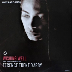 Terence Trent D'Arby Wishing Well Vinyl 12" USED