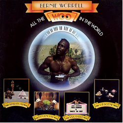 Bernie Worrell All The Woo In The World Vinyl LP USED