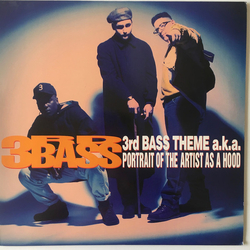 3rd Bass 3rd Bass Theme A.K.A. Portrait Of The Artist As A Hood Vinyl 12" USED