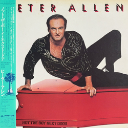 Peter Allen Not The Boy Next Door Vinyl LP USED