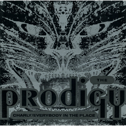 The Prodigy Charly / Everybody In The Place Vinyl 12" USED