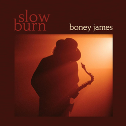 Boney James Slow Burn Vinyl LP USED