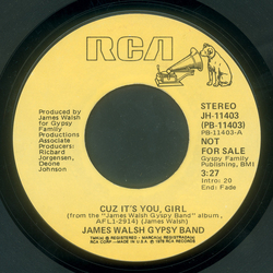 James Walsh Gypsy Band Cuz It's You, Girl Vinyl 7" USED