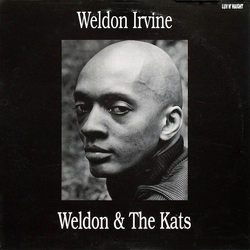 Weldon Irvine Weldon & The Kats Vinyl LP USED