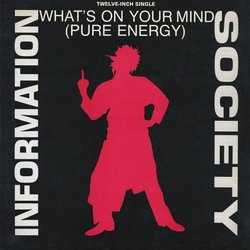 Information Society What's On Your Mind (Pure Energy) Vinyl 12" USED