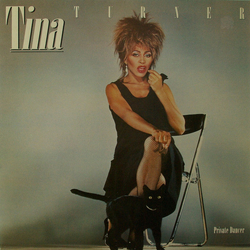 Tina Turner Private Dancer Vinyl LP USED