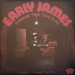 Early James Strange Time To Be Alive Vinyl LP USED