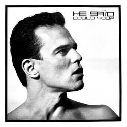 He Said Could You? Vinyl 12" USED