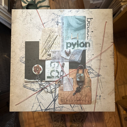 beabadoobee Pylon Vinyl LP USED