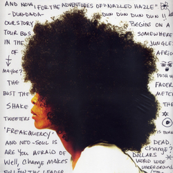 Erykah Badu Worldwide Underground Vinyl LP USED