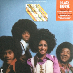 Glass House Thanks I Needed That Vinyl LP USED