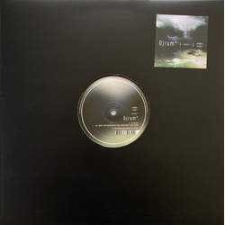 DJ Rum Plantain / What I Was Doing When I Was Doing What I Was Doing Vinyl 12" USED