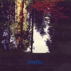 Dntel Aimlessness Vinyl LP USED