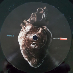 The Amity Affliction Let The Ocean Take Me Vinyl LP USED