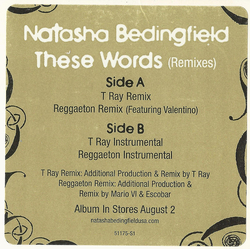 Natasha Bedingfield These Words (Remixes) Vinyl 12" USED