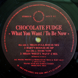 Chocolate Fudge What You Want / To Be Now Vinyl 12" USED