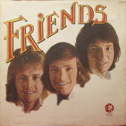 Friends US Friends Vinyl LP USED