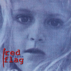 Red Flag If I Ever Vinyl 12" USED