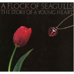 A Flock Of Seagulls The Story Of A Young Heart Vinyl LP USED