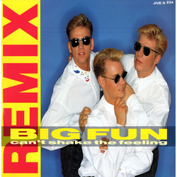 Big Fun Can't Shake The Feeling (Remix) Vinyl 12" USED