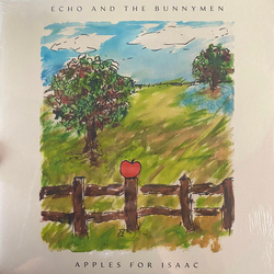 Echo & The Bunnymen Apples For Isaac Vinyl LP USED