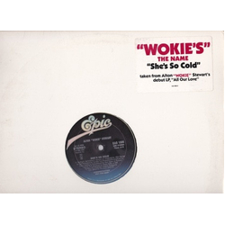 Alton Wokie Stewart She's So Cold Vinyl 12" USED