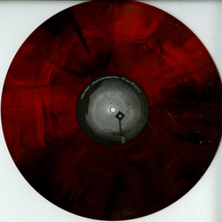 Terry Grant A Moth On The Window Pane Vinyl 12" USED
