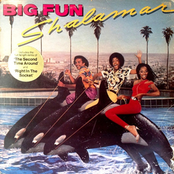 Shalamar Big Fun Vinyl LP USED