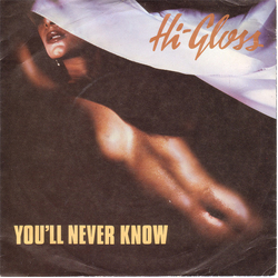 Hi-Gloss You'll Never Know Vinyl 7" USED