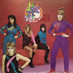 The Orchids The Orchids Vinyl LP USED