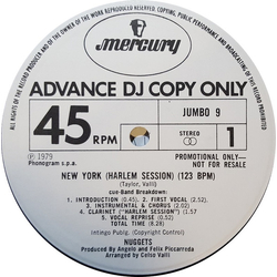 Nuggets New York / Proud Mary Vinyl 12" USED