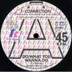 T-Connection Do What You Wanna Do Vinyl 12" USED