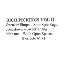Various Rich Pickings Vol II Vinyl 12" USED