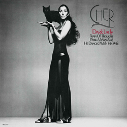 Cher Dark Lady Vinyl LP USED