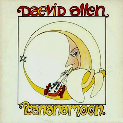 Daevid Allen Banana Moon Vinyl LP USED
