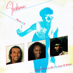 Shalamar There It Is Vinyl 12" USED