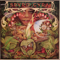 Spyro Gyra Morning Dance Vinyl LP USED