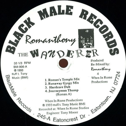 Romanthony The Wanderer Vinyl 12" USED