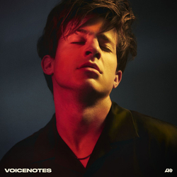 Charlie Puth Voicenotes Vinyl LP USED