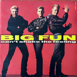 Big Fun Can't Shake The Feeling Vinyl 12" USED