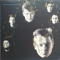 Madness Mad Not Mad Vinyl LP USED