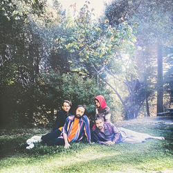 Big Thief U.F.O.F. Vinyl LP USED