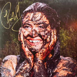 Remi Wolf Mud Vinyl LP USED
