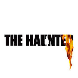 The Haunted Eye Of The Storm USED VINYL 7INCH SINGLE LIMITED EDITION