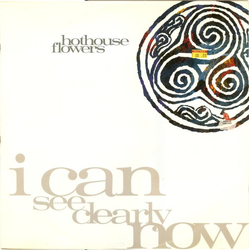Hothouse Flowers I Can See Clearly Now Vinyl 7" USED