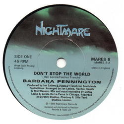 Barbara Pennington Don't Stop The World Vinyl 7" USED