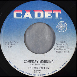 The Wildweeds Someday Morning USED VINYL 7INCH SINGLE 45 RPM
